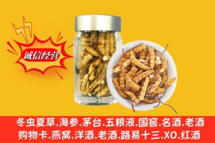 娄底市回收散虫草