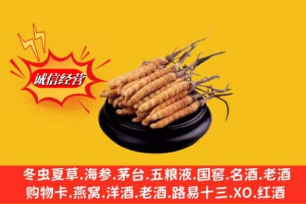 娄底市回收虫草多少钱每克